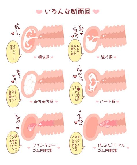 中出し 断面|【二次】子宮に中出ししてるのが断面図でわかる二次エロ画像